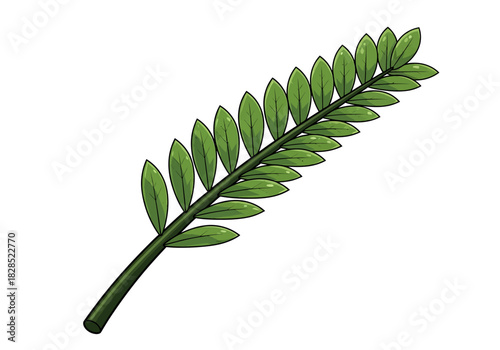 Green Leaf Illustration