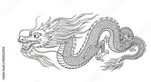 Flat 2D ink-style black and white Chinese dragon illustration, emphasizing its powerful serpentine form and dramatically flowing mane, standing isolated against a stark white background.