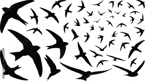 A large, dynamic flock of common swift birds in varied silhouettes, illustrating bird migration, nature, freedom, aerial movement, and summer wildlife in the sky.