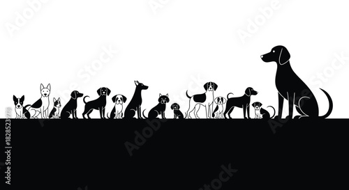 Silhouette of various dog breeds lined up against a white background, with a larger dog on the right side.