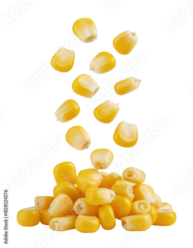 Fresh Yellow Corn Kernels Falling on a Pile of Corn on an Isolated Transparent Background