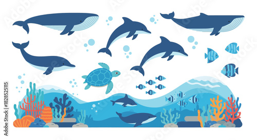 Collection of Marine Life and Underwater Scenery.