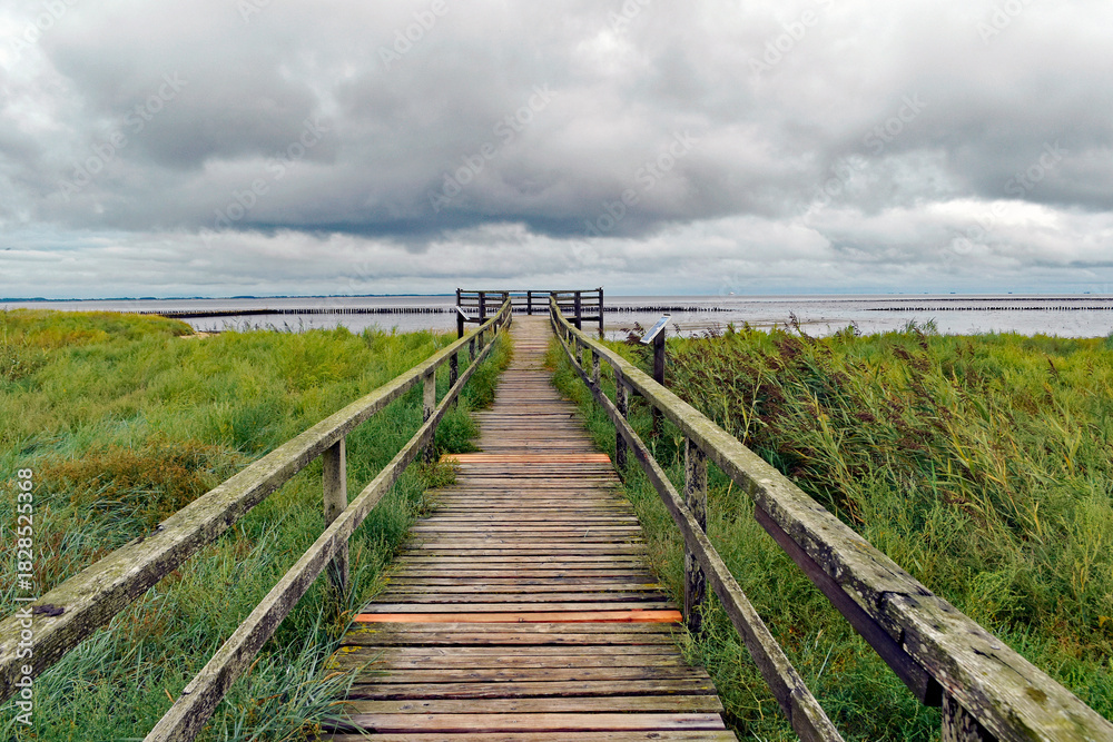 Fototapeta premium Landschaft auf der Insel 