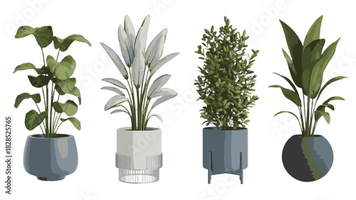 Four Potted Houseplants with Green and White Foliage in Decorative Pots potted plants indoor plants