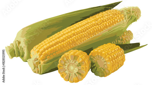 Fresh Corn on the Cob with Husks and Sliced Kernels on White Background maize sweet corn