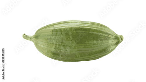 Single Green Cardamom Pod with Textured Surface Isolated on White Keywords: cardamom, spice, herb, seasoning, aromatic, green, pod, seed, food, ingredient, culinary, cooking