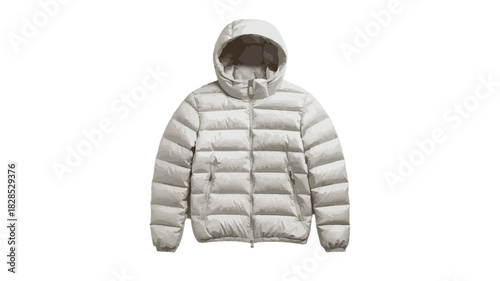 White Puffer Jacket with Hood and Zipper on White Background winter coat clothing