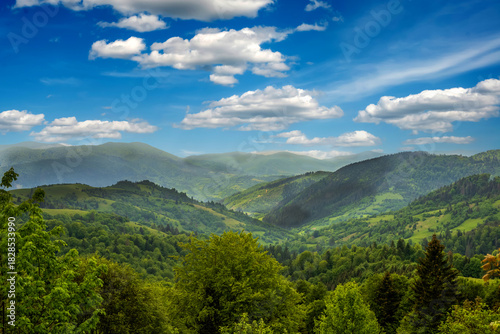 Wallpaper Mural Landscape - nature, view of mountains covered with green coniferous forests Torontodigital.ca