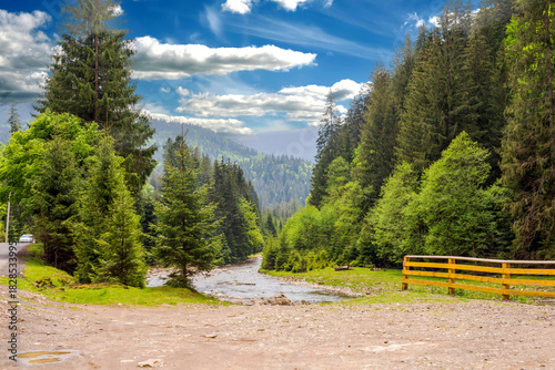 Wallpaper Mural Mountain landscape - a shallow river flowing in the mountains among coniferous trees Torontodigital.ca