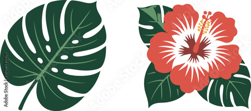 Flower With Clean Leaf Design Edges Monstera Flat Hibiscus