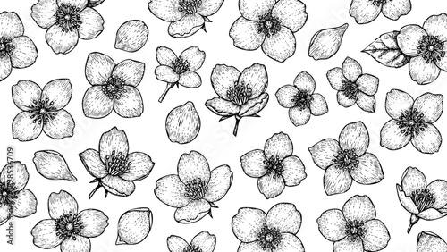 Wooden Engraving Jasmine in White Background