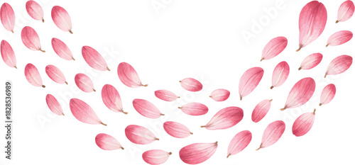 Watercolor Arrangement Placement With Petals Hand Drawn Flower Organic Scattered