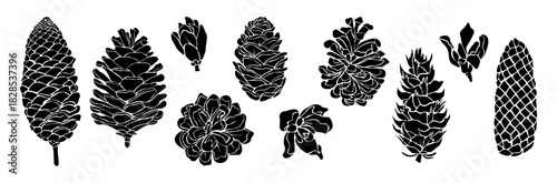 Black and white vector set of pine cones, featuring detailed silhouettes of various conifer cones in different shapes and sizes. Natural botanical elements perfect for winter, forest, nature design