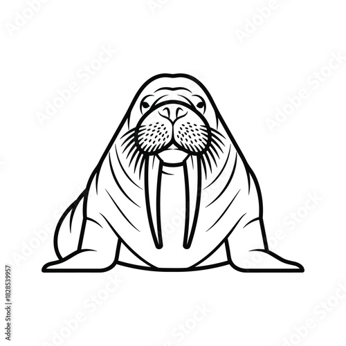 A charming walrus illustration isolated on, showcasing its tusks and whiskers in a simple design