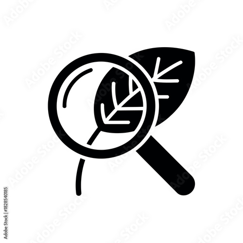 Magnifying Glass Examining Leaf Silhouette on Transparent Background Icon