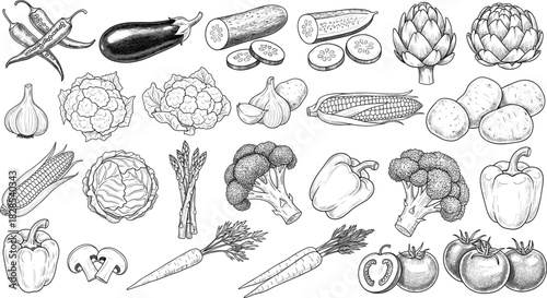 Large Vintage Engraving Style Vector Collection of Assorted Vegetables Including Corn, Eggplant, Carrots, Broccoli, Tomatoes, Peppers, and Garlic, Ideal for Healthy Eating, Cooking, and Organic Food T