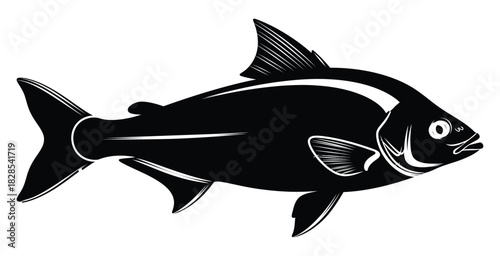 A black and white illustration of a bream fish swimming, showcasing its distinctive features isolated on white background