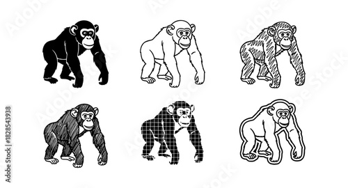Chimpanzee art styles collage: silhouette, outline, and sketch variations in black and white