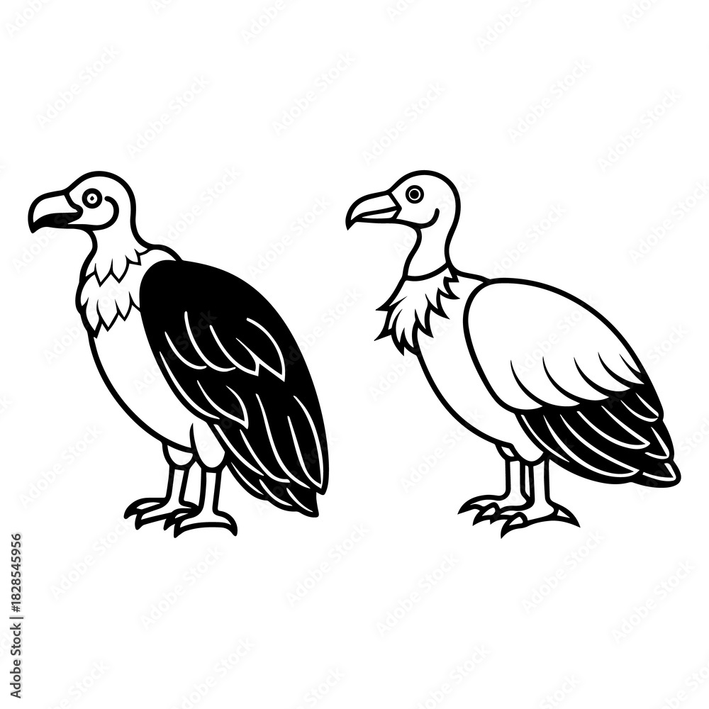 Fototapeta premium Parrot Pair Vector Art