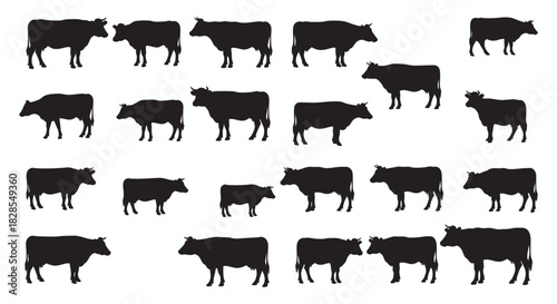 Silhouette Herd A minimal design featuring silhouettes of cows grazing and standing, conveying a sense of farm life and animal husbandry in a graphic style. 