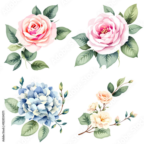 seamless pattern with roses