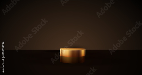 Gold cylinder podium. Golden Luxury Podium in the Dark Room for mockup products, promotion display. Black Studio Scene Background. Vector illustration