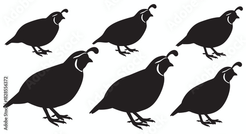 Silhouette of a Group of Quail A Study in Bird Movement and Form