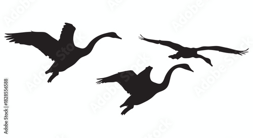 Silhouetted Geese in Flight A Symbol of Freedom and Migration