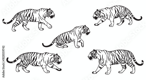 Majestic Tigers in Motion A Collection of Dynamic Sketches Illustrating the Power and Grace of These Wild Cats