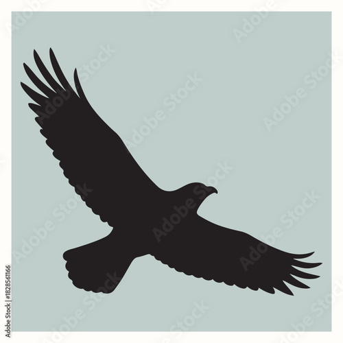 Flying Eagle Bird Silhouette Vector Illustration
