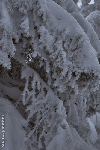 Randonnée hivernale dans les Alpes Française