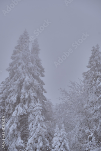 Randonnée hivernale dans les Alpes Française