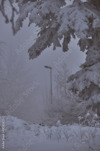 Randonnée hivernale dans les Alpes Française