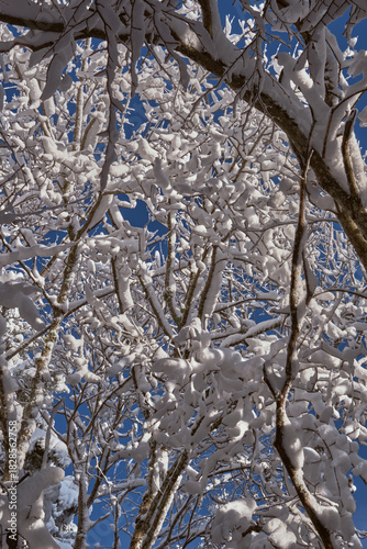 Randonnée hivernale dans les Alpes Française