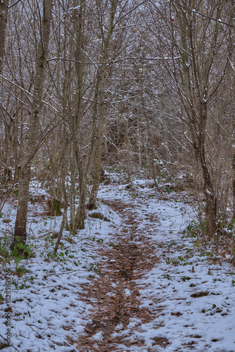 Randonnée hivernale dans les Alpes Française