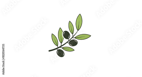 Delicate olive branch with ripe fruits and green leaves on a clean white background, symbolizing nature and health.