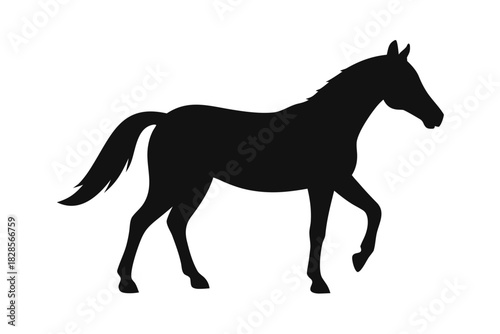 Morgan horse silhouette vector, Horse black symbol
