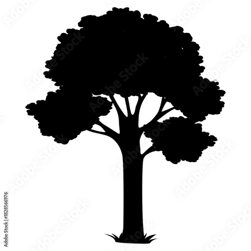 Large tree silhouette illustration with spreading branches and natural forest shape in bold dark botanical landscape vector style