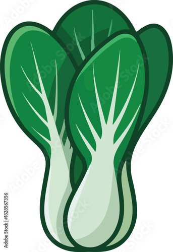 Two fresh bok choy leaves vector illustration showcasing healthy green Asian vegetable produce