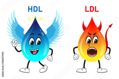 HDL and LDL cholesterol cartoon. Good fat and bad fat accumulated in the body vector