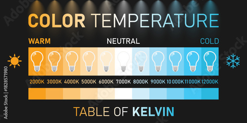 Color temperature Kelvin scale. Led diagram with warm and daylight spectrum halogen and cool spectrum infographics vector