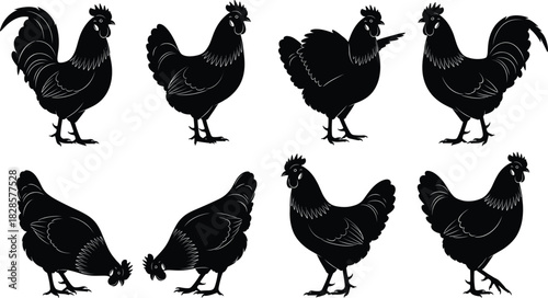 Farm Bird Silhouette Vector Collection Set Illustrating Various Poses of Chickens and Roosters, Ideal for Agriculture, Rural Life, Poultry Farming, and Food Industry Concepts