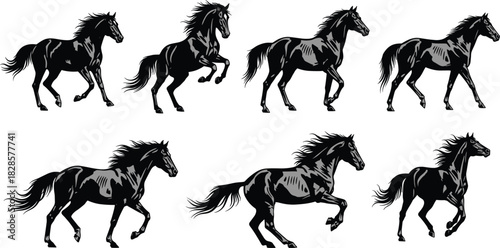 Dynamic Black Horse Vector Illustration Collection Set Depicting Various Galloping and Rearing Poses with Muscular Detail, Ideal for Equestrian Sports, Wildlife, and Power Concepts