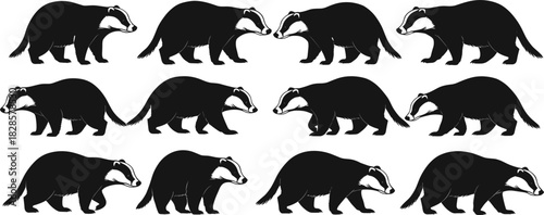 European Badger Animal Vector Silhouette Collection Set Illustrating Various Poses and the Distinctive Black and White Striped Face for Wildlife, Nature, and Forest Design Concepts
