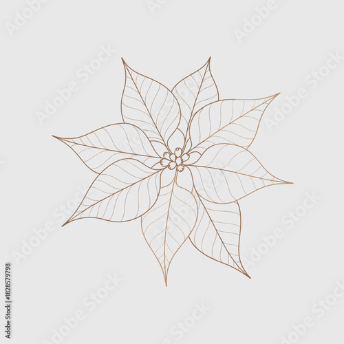 Poinsettia flower gold outline vector illustration – Ideal for sophisticated Christmas materials, floral vector icons, or luxury seasonal design.