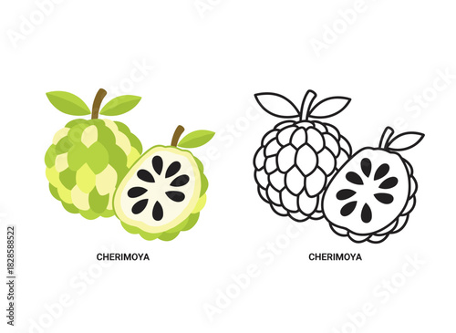 Stylish color and monochrome contour sketches of cherimoya or custard apple, depicting whole and sliced ripe, juicy, tasty fruits against a white backdrop, crafted as a beautiful hand‑drawn