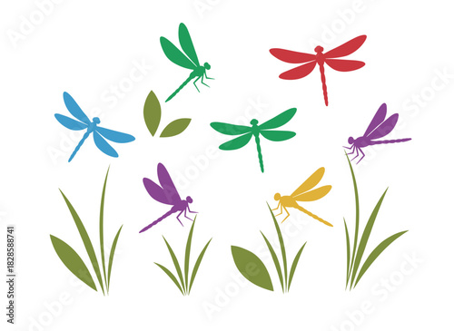 A set of vibrant dragonflies against a white backdrop, elegantly hand‑drawn in a vintage vector style, depicted soaring and perched on grass blades