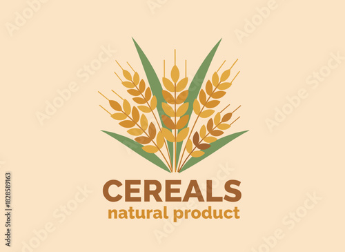 A hand‑drawn vector illustration of cereal plants—barley, millet, and other grain crops—bordering a natural food cover featuring spikelets, ears, and seeds, designed as a package template