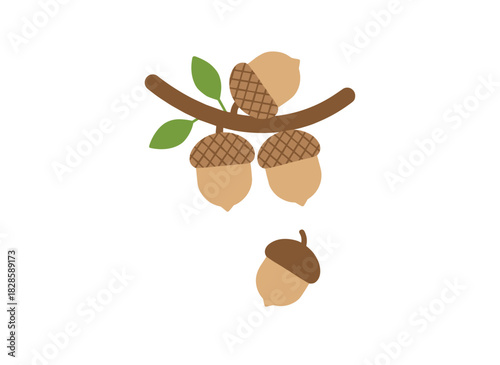 A flat vector illustration of an oak twig bearing acorns, dry caps, shells, and seeds, serving as an autumnal forest decoration and seasonal botanical design element, isolated on a white background