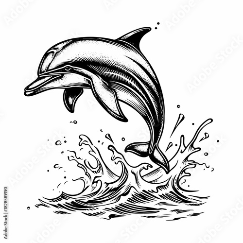 A cheerful dolphin jumping out of the water. Vector illustration in engraving style